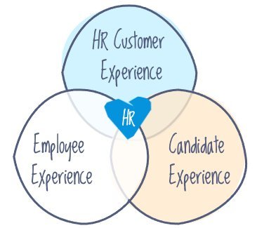 HR Experience HR Experience